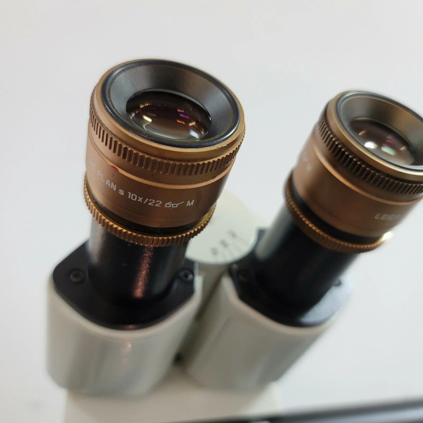 Leica Microscope DMLB Side by Side Pathology 2X - Image 3