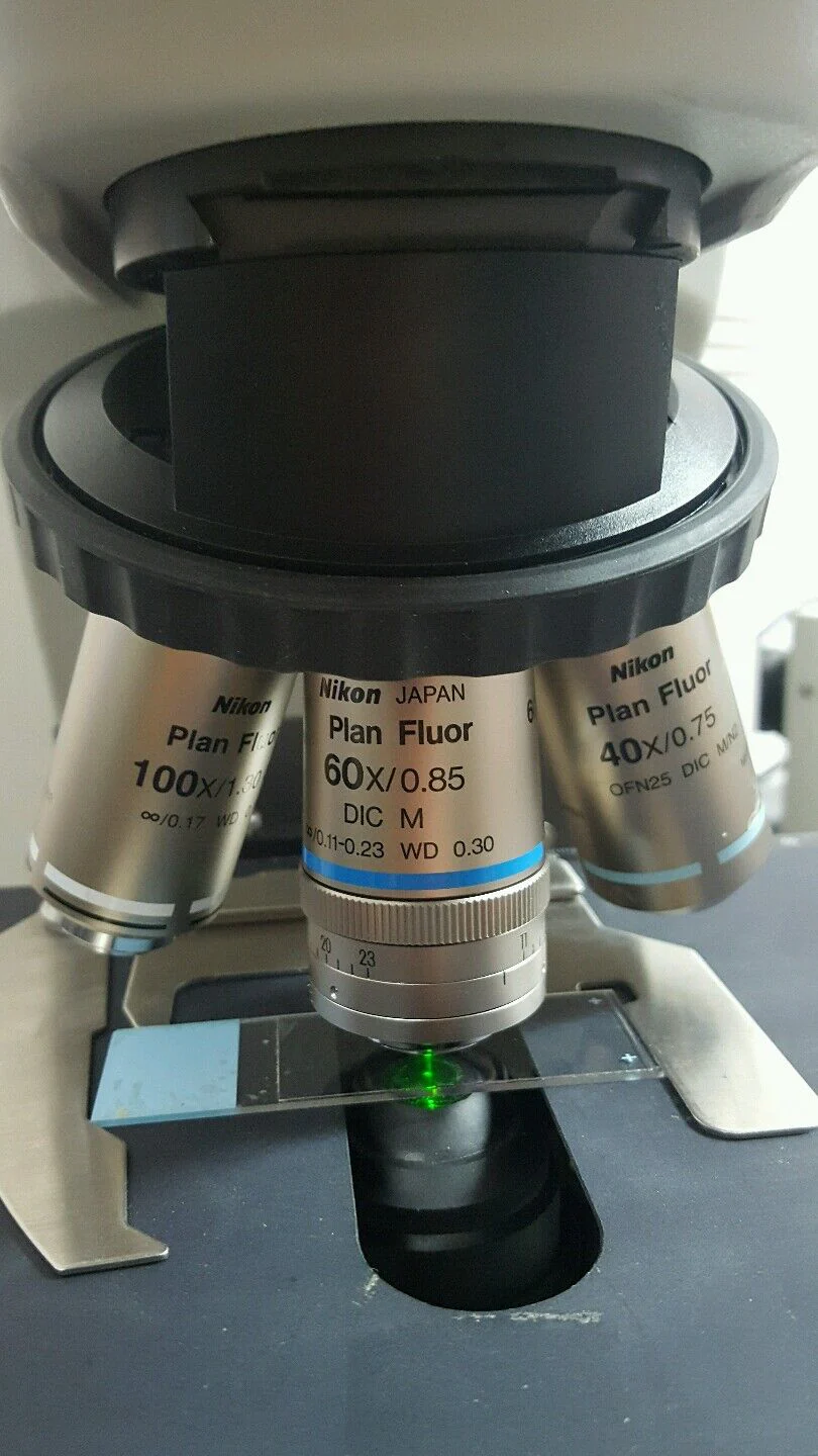 Nikon Microscope 80i with Fluorescence - Image 3