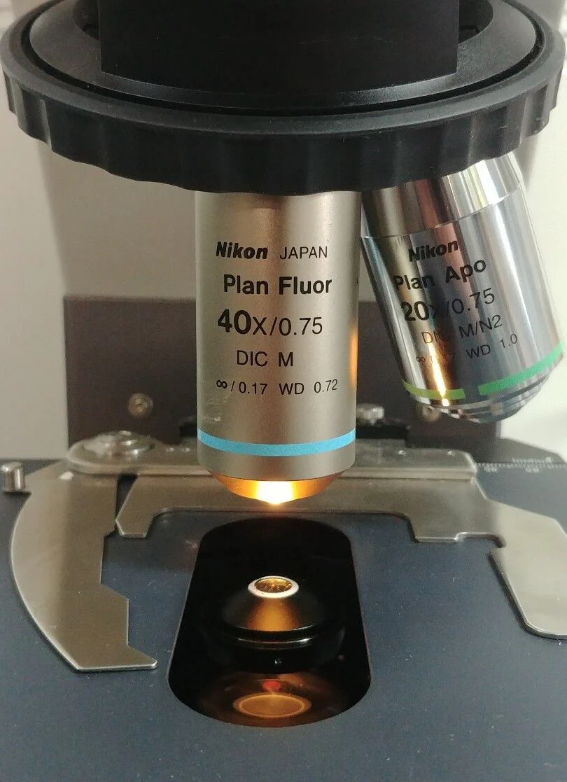 Nikon Microscope Eclipse 80i with Dual Head Bridge - Image 6