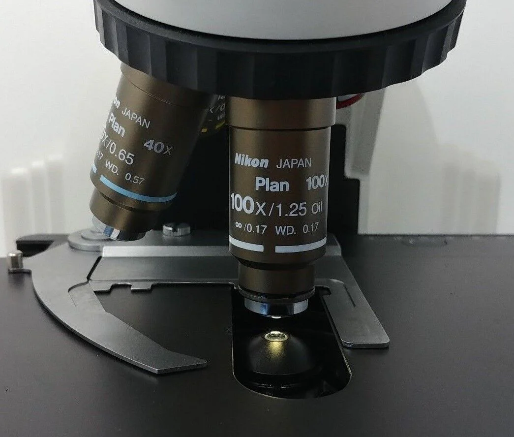 Nikon Microscope Eclipse E400 with 2X Objective - Image 6
