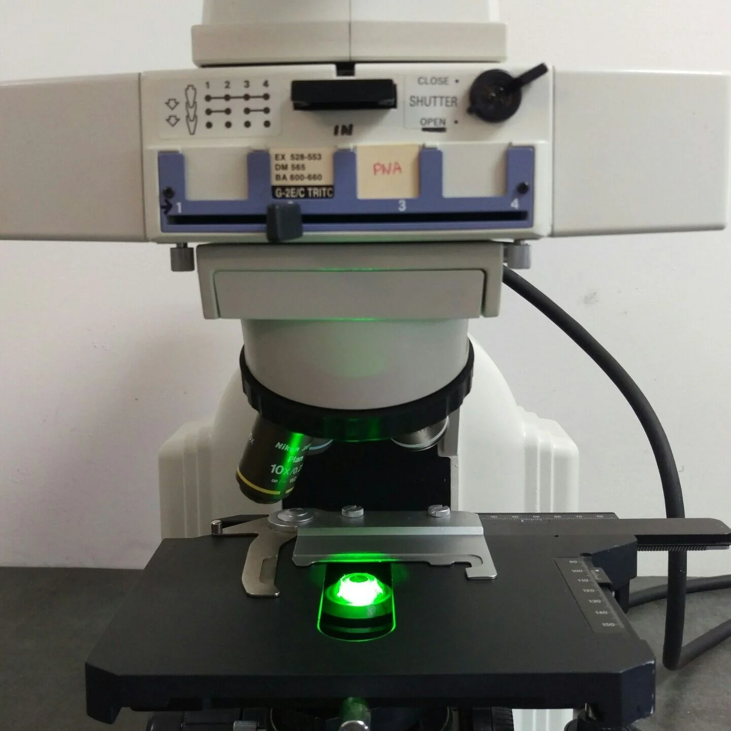 Nikon Microscope Eclipse E400 with Fluorescence - Image 11