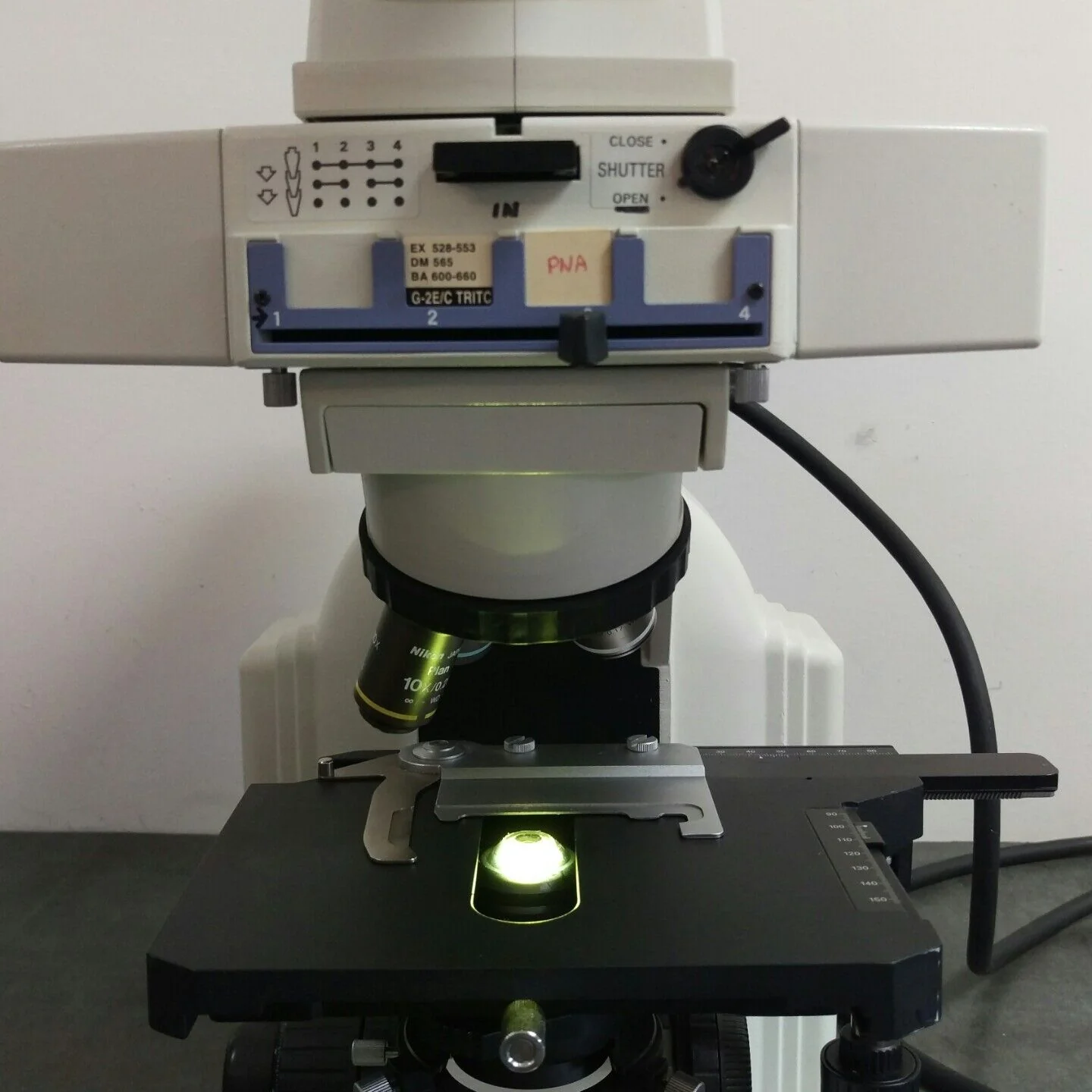 Nikon Microscope Eclipse E400 with Fluorescence - Image 12