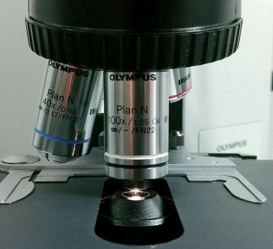 Olympus Microscope BX40 with Dual Port Side by Side Teaching Bridge (Dual Head) - Image 6