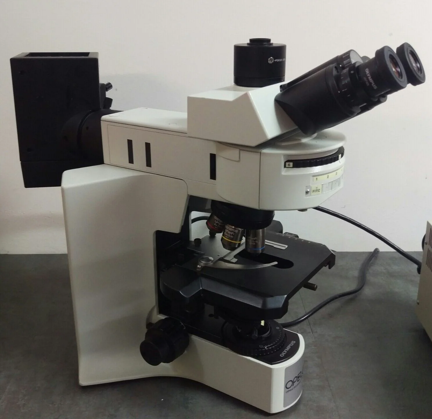 Olympus Microscope BX41 Fluorescence - Image 3