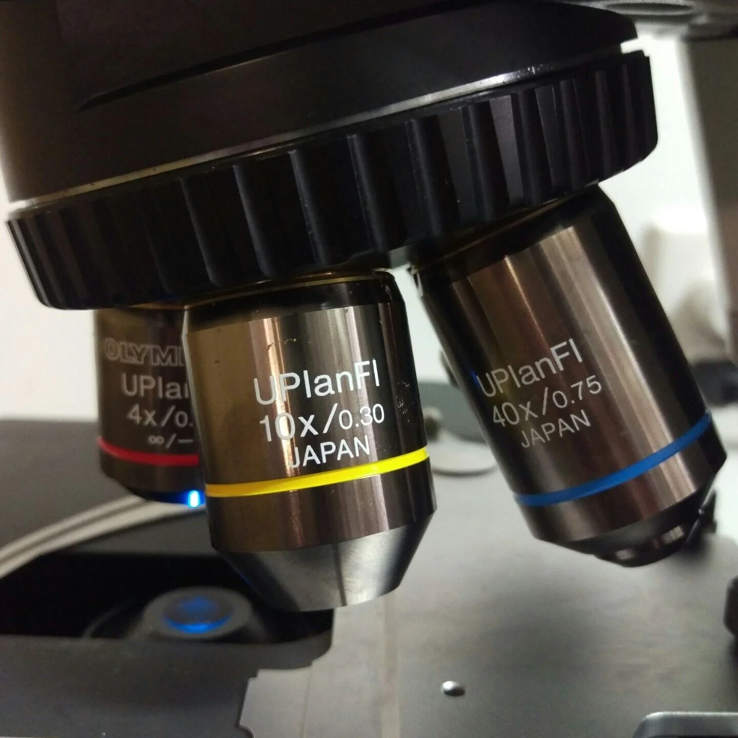 Olympus Microscope BX41 Fluorescence - Image 4