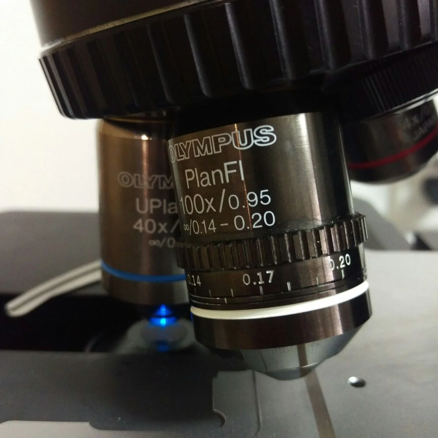 Olympus Microscope BX41 Fluorescence - Image 5