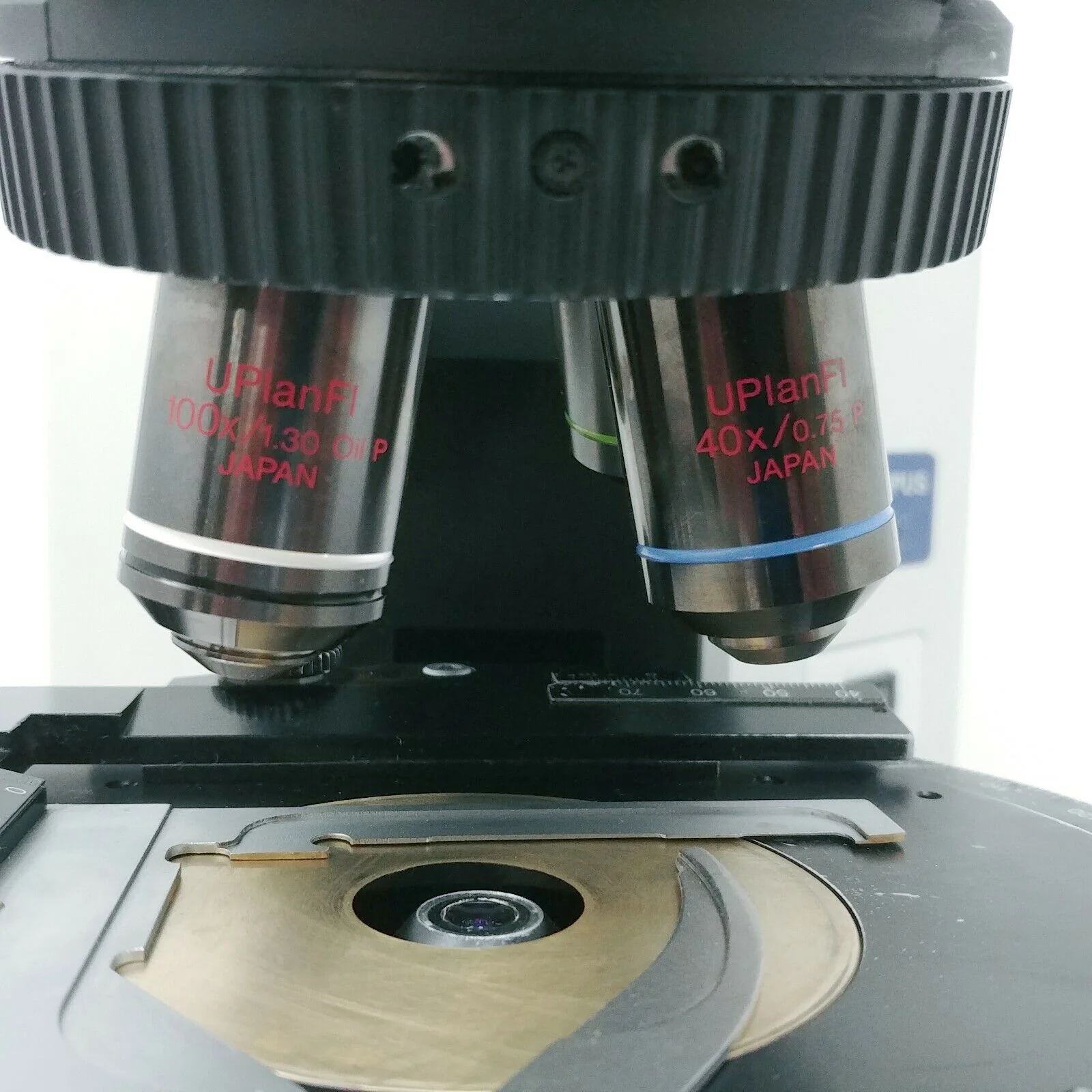 Olympus Microscope BX41 Pol Polarizing with Tilting Binocular Head - Image 8