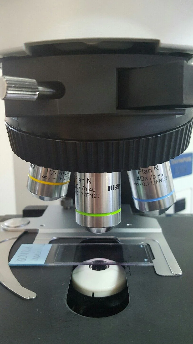 Olympus Microscope BX41 with 2X and Side by Side Bridge (Dual Head) - Image 4