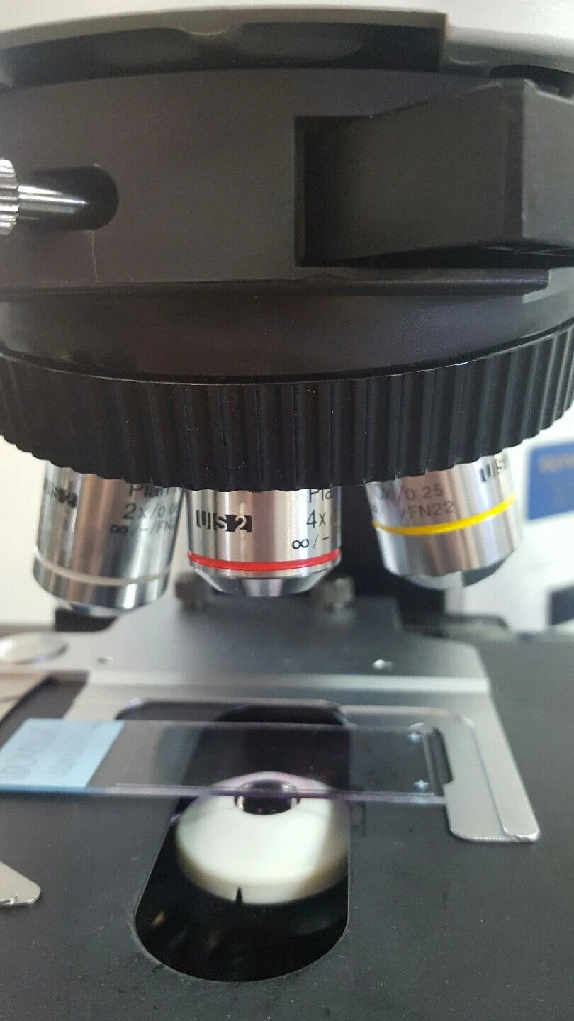 Olympus Microscope BX41 with 2X and Side by Side Bridge Mohs Microscope (Dual Head) - Image 3