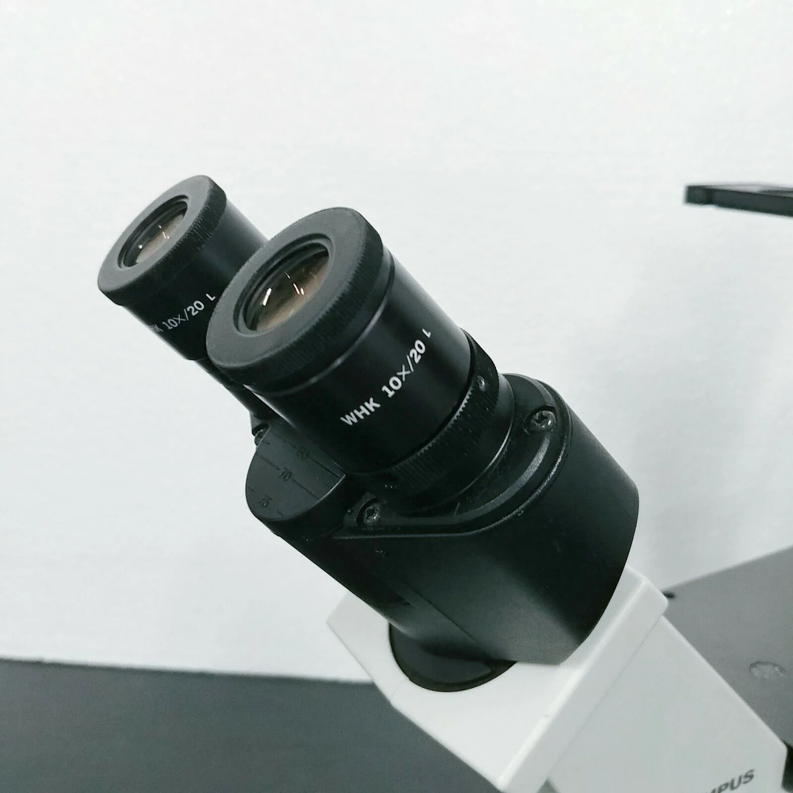 Olympus Microscope CK30 Inverted with Phase Contrast - Image 6