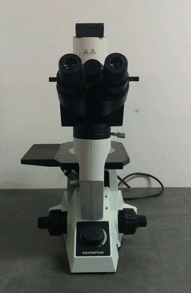 Olympus Microscope CK40 Phase Contrast Tissue Culture - Image 3