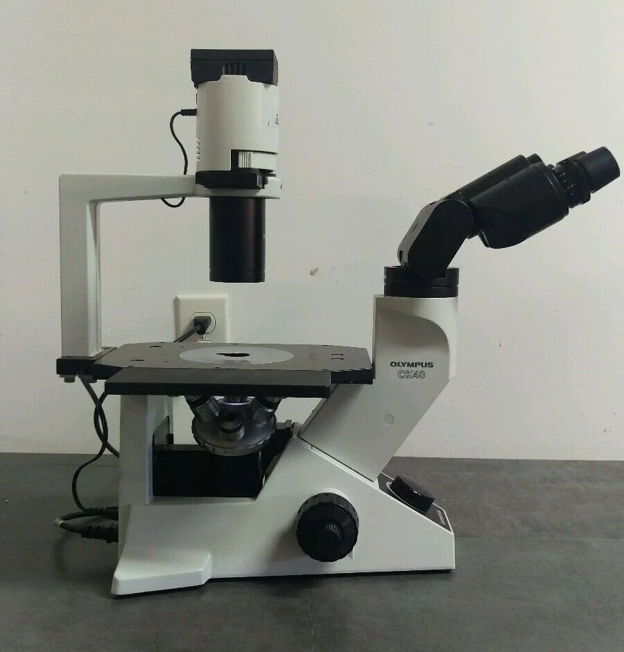 Olympus Microscope CK40 Phase Contrast Tissue Culture - Image 4