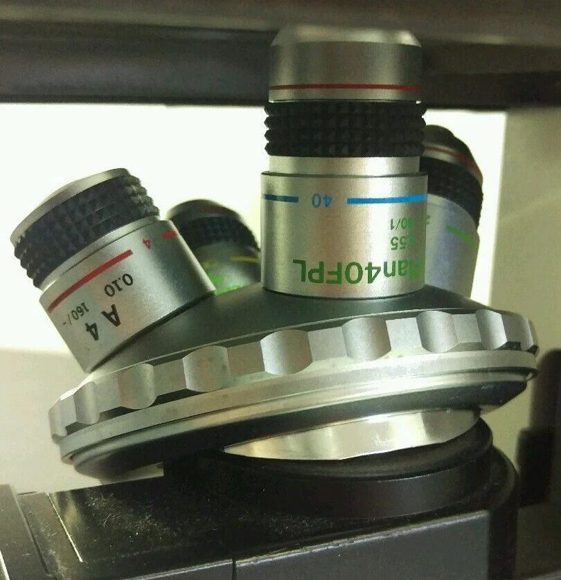 Olympus Microscope CK40 Phase Contrast Tissue Culture - Image 8