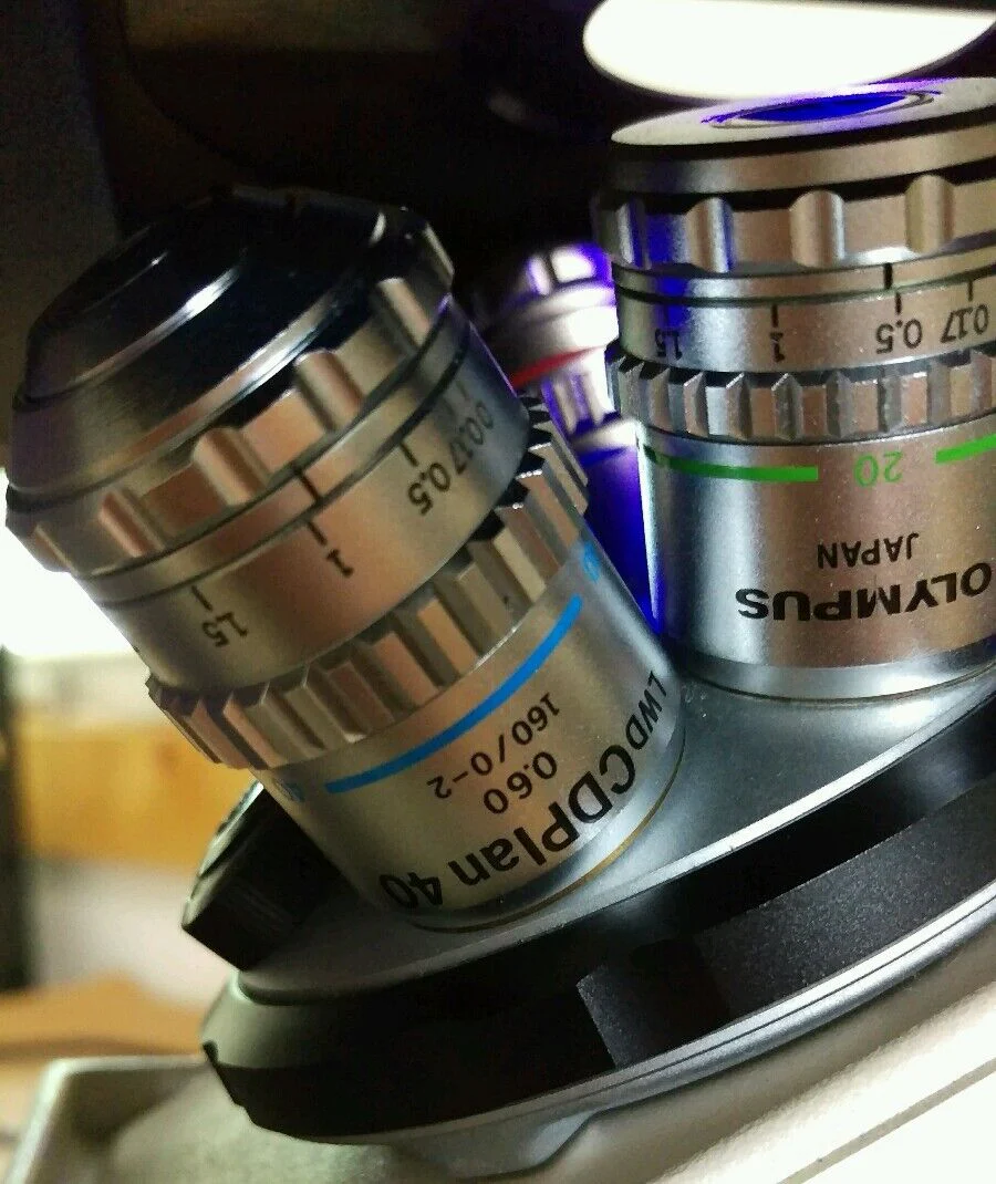 Olympus Microscope IMT-2 Phase Contrast and Fluorescence - Image 6