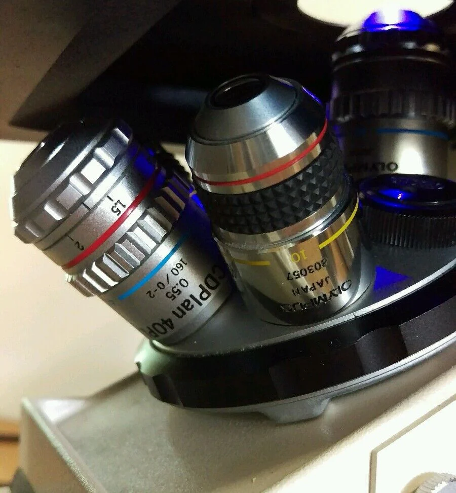 Olympus Microscope IMT-2 Phase Contrast and Fluorescence - Image 8